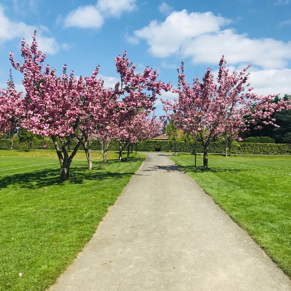 Meet your Posher, Mrs. Gryz - Picture 4 of 4